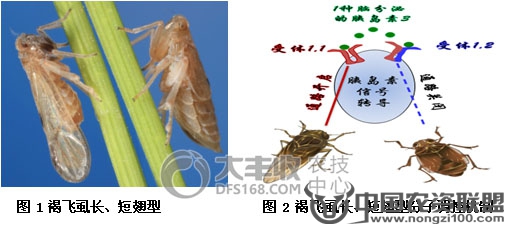 附件