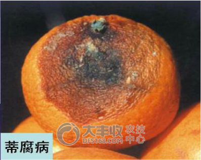 附件
