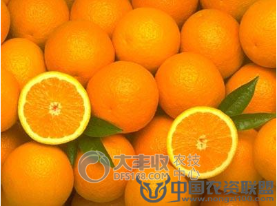 附件