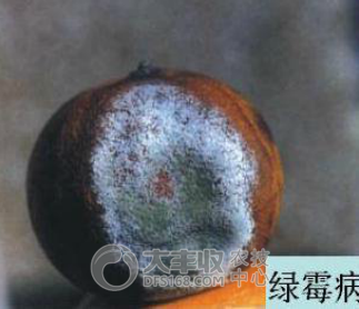 附件