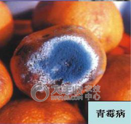 附件