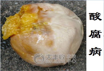 附件