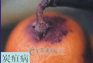 附件