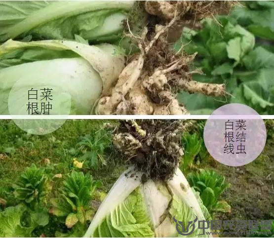 附件