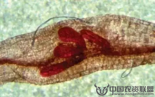 附件