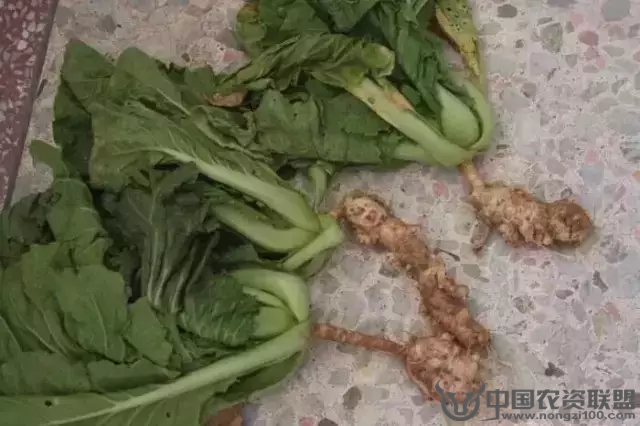 附件