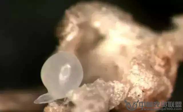 附件