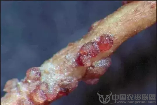附件