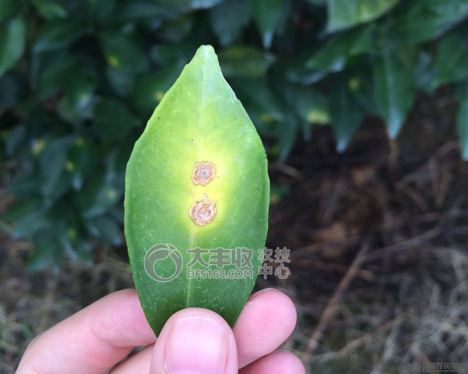 附件