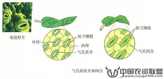 附件