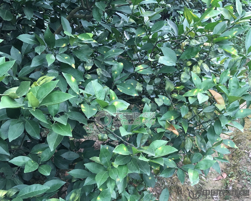 附件