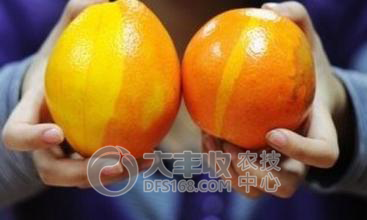 附件
