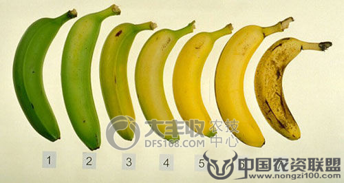 附件