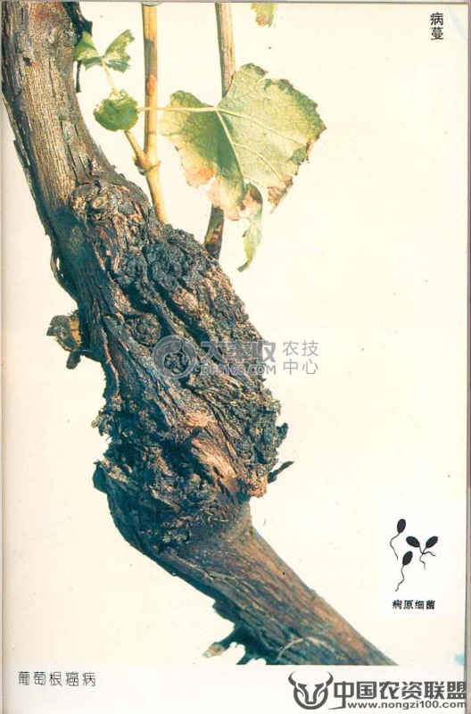 附件