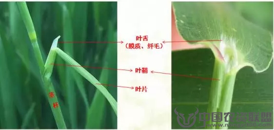 附件