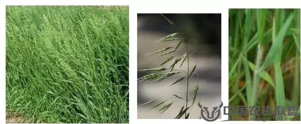 附件