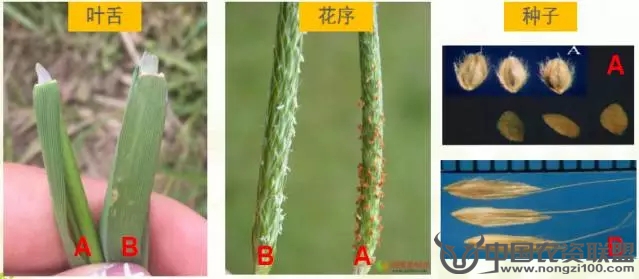 附件