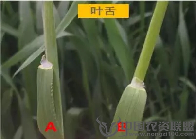 附件