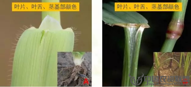 附件