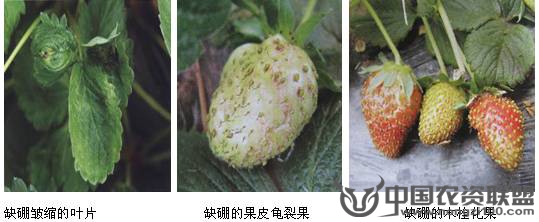 附件