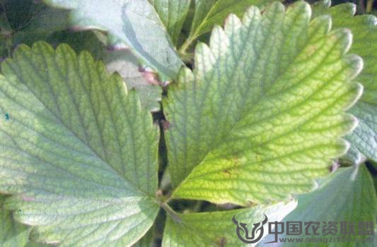 附件