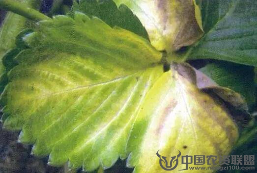 附件