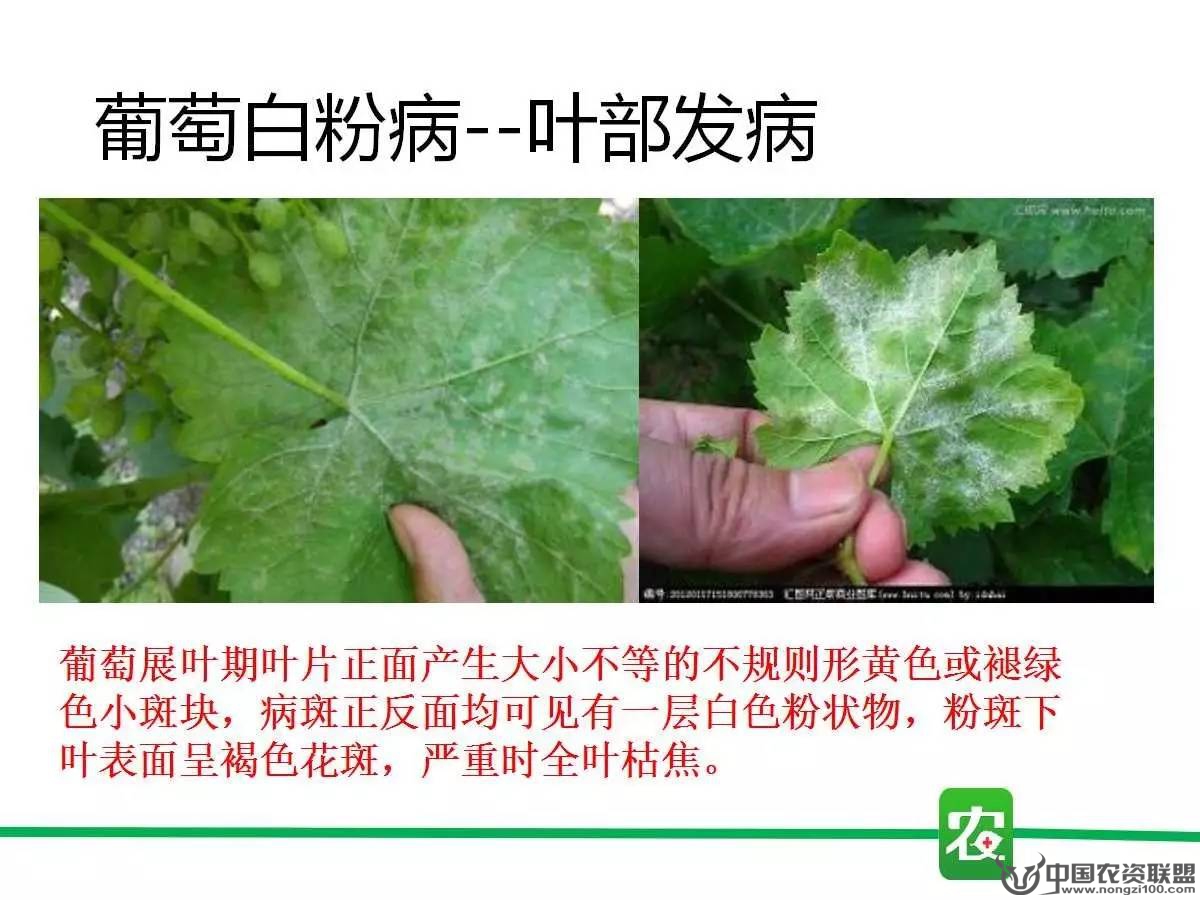 附件