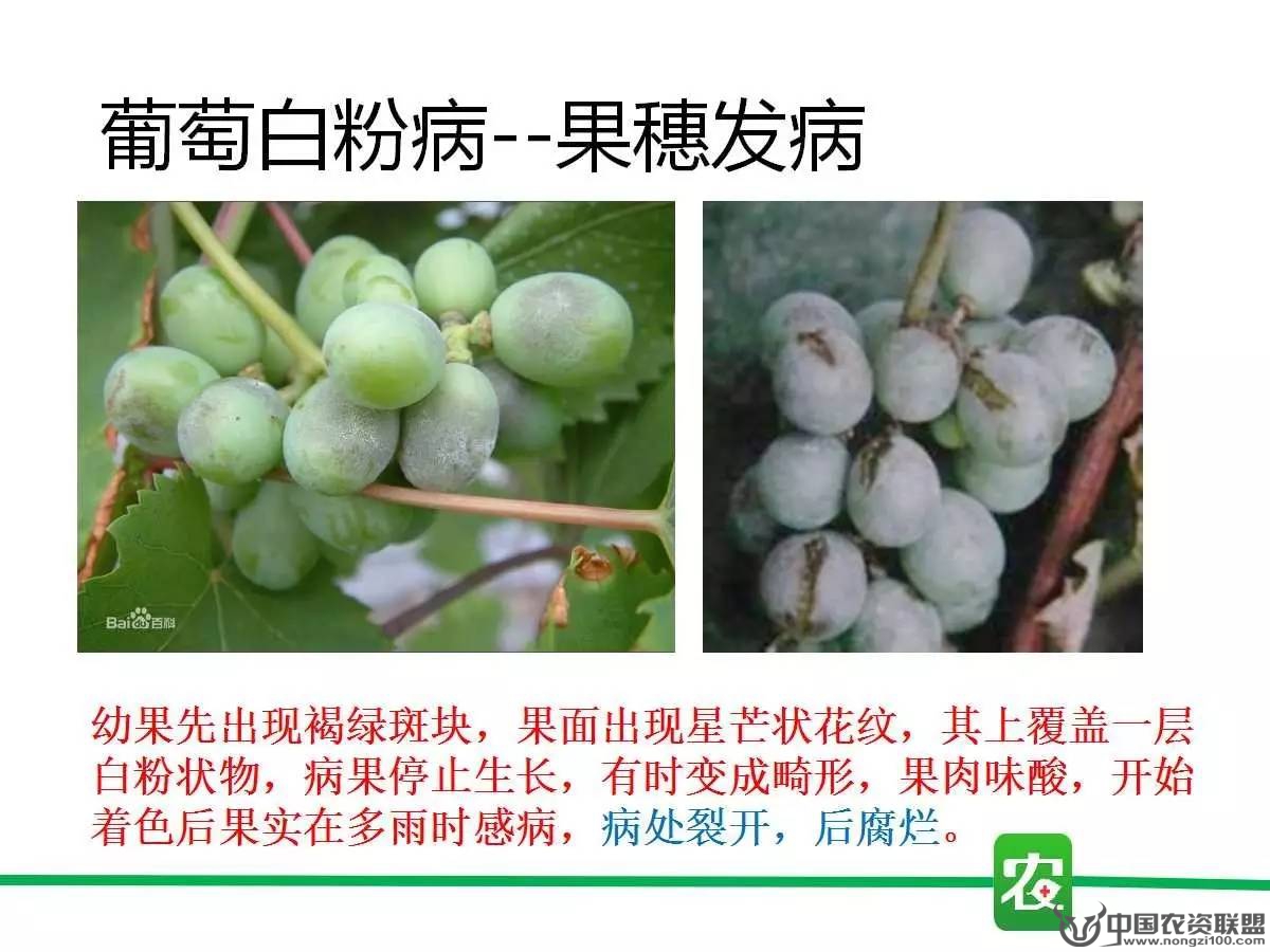 附件