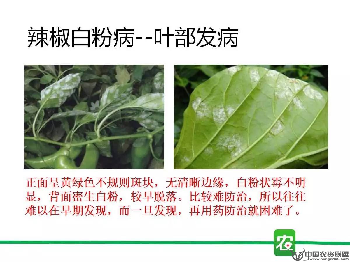 附件