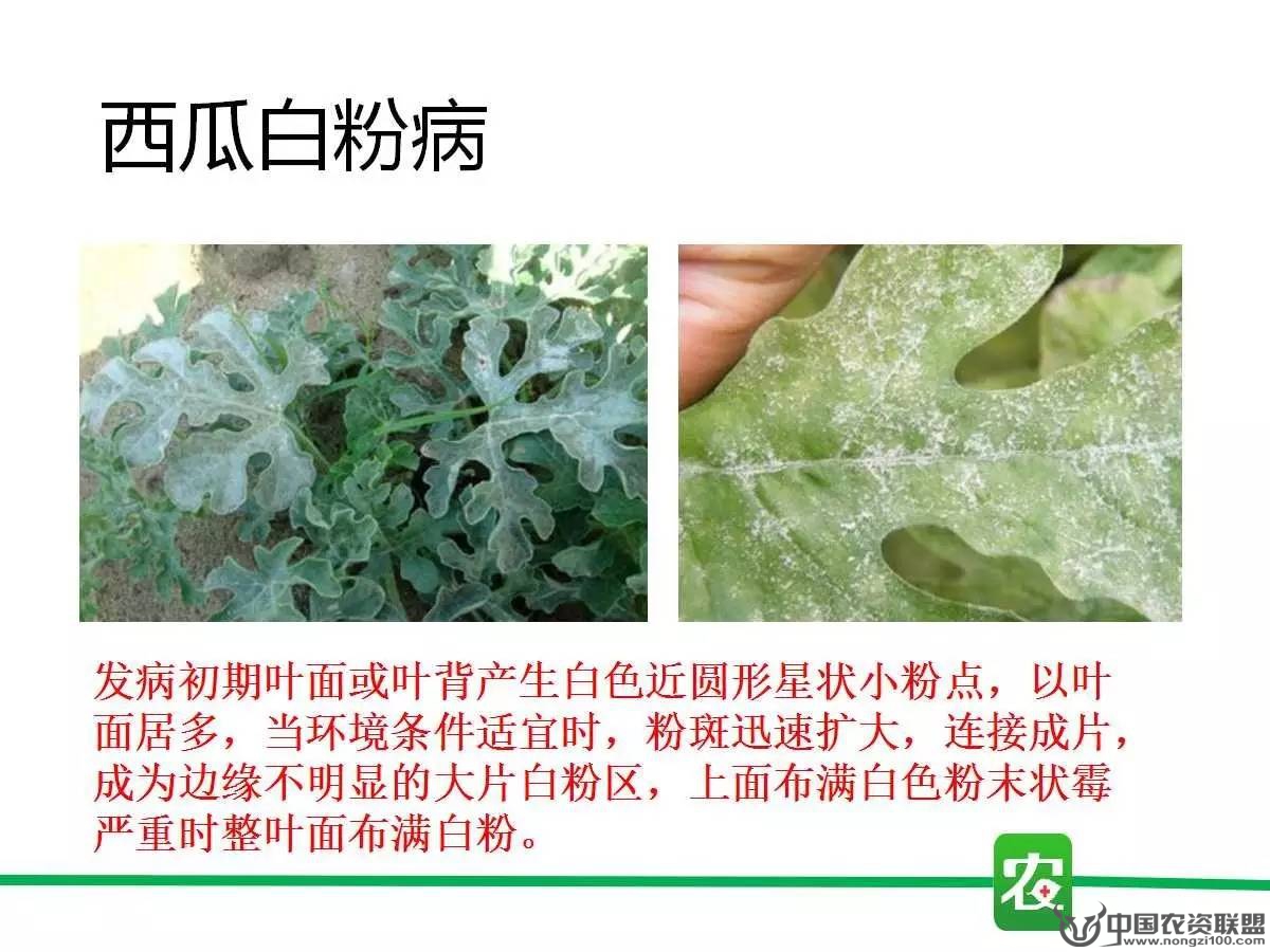 附件