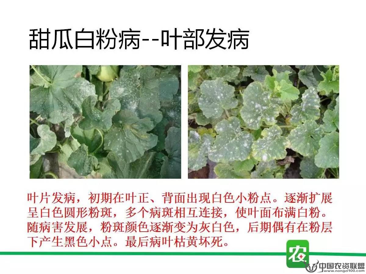 附件