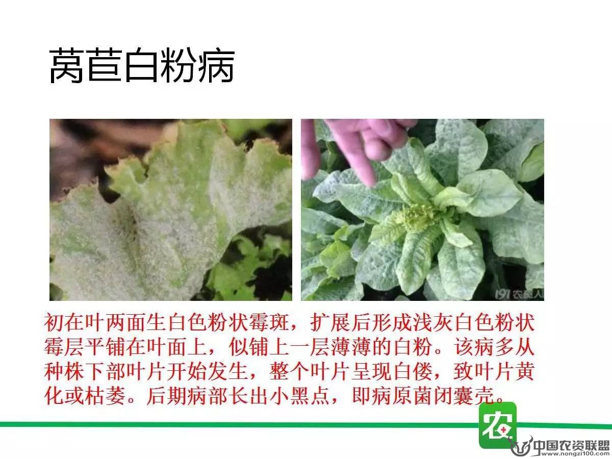附件