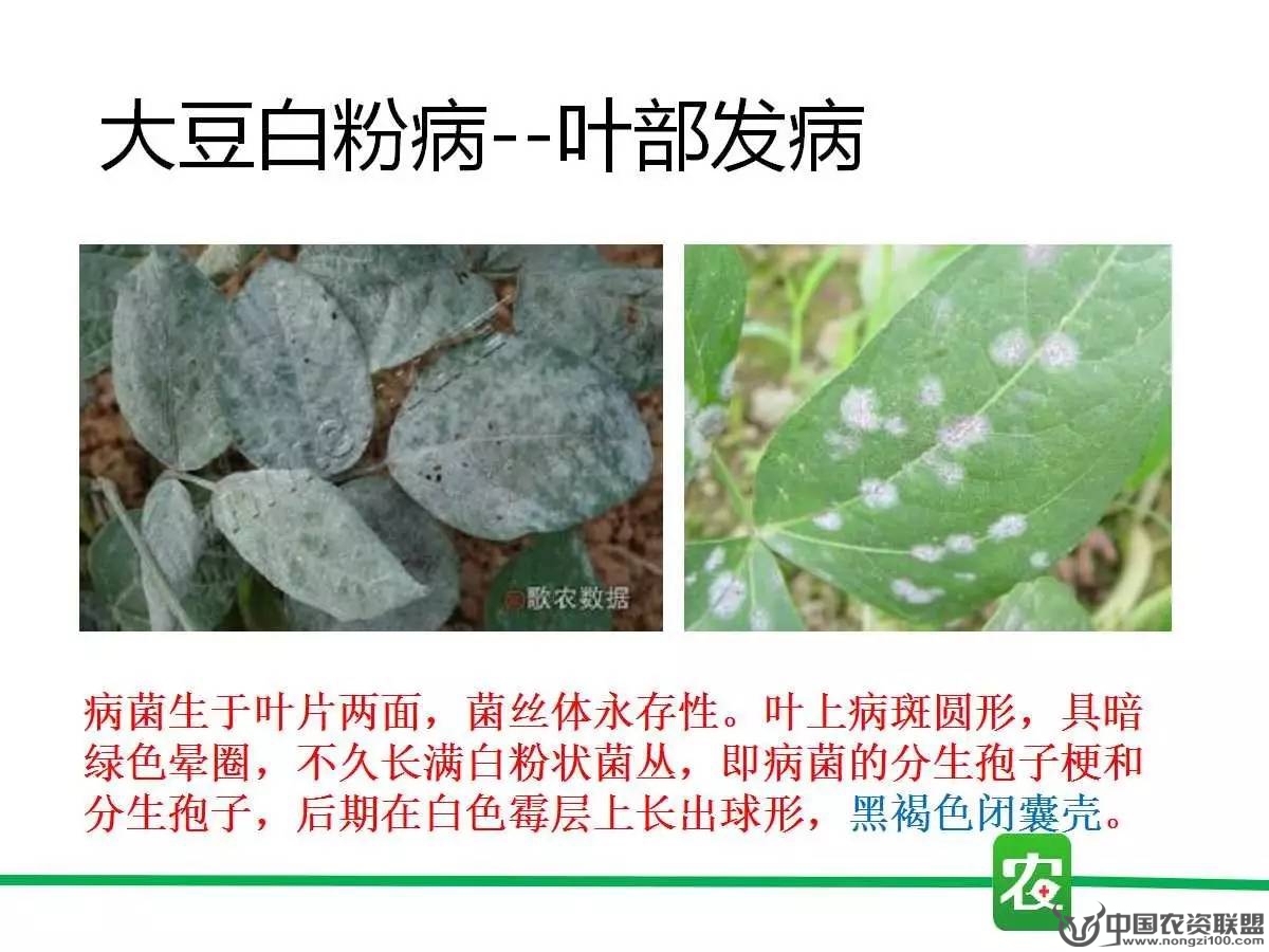 附件