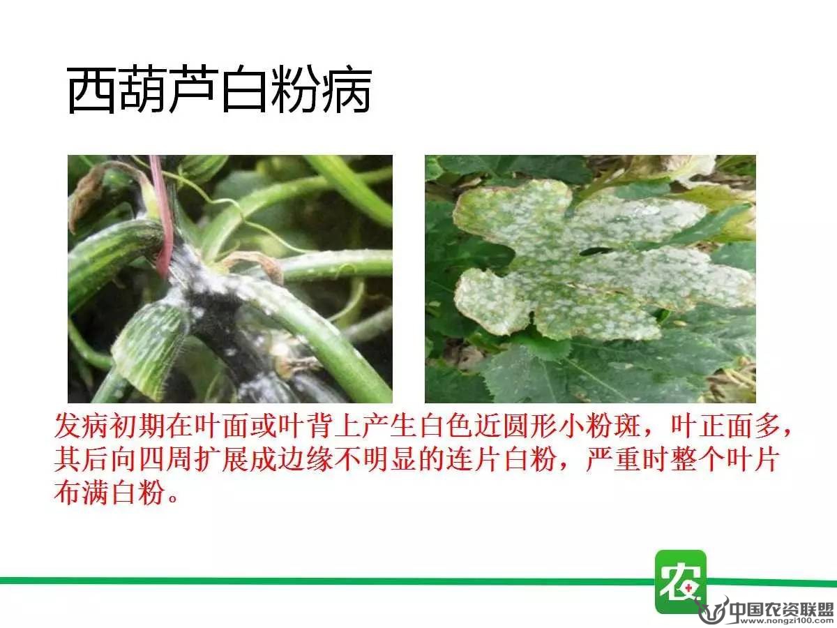 附件