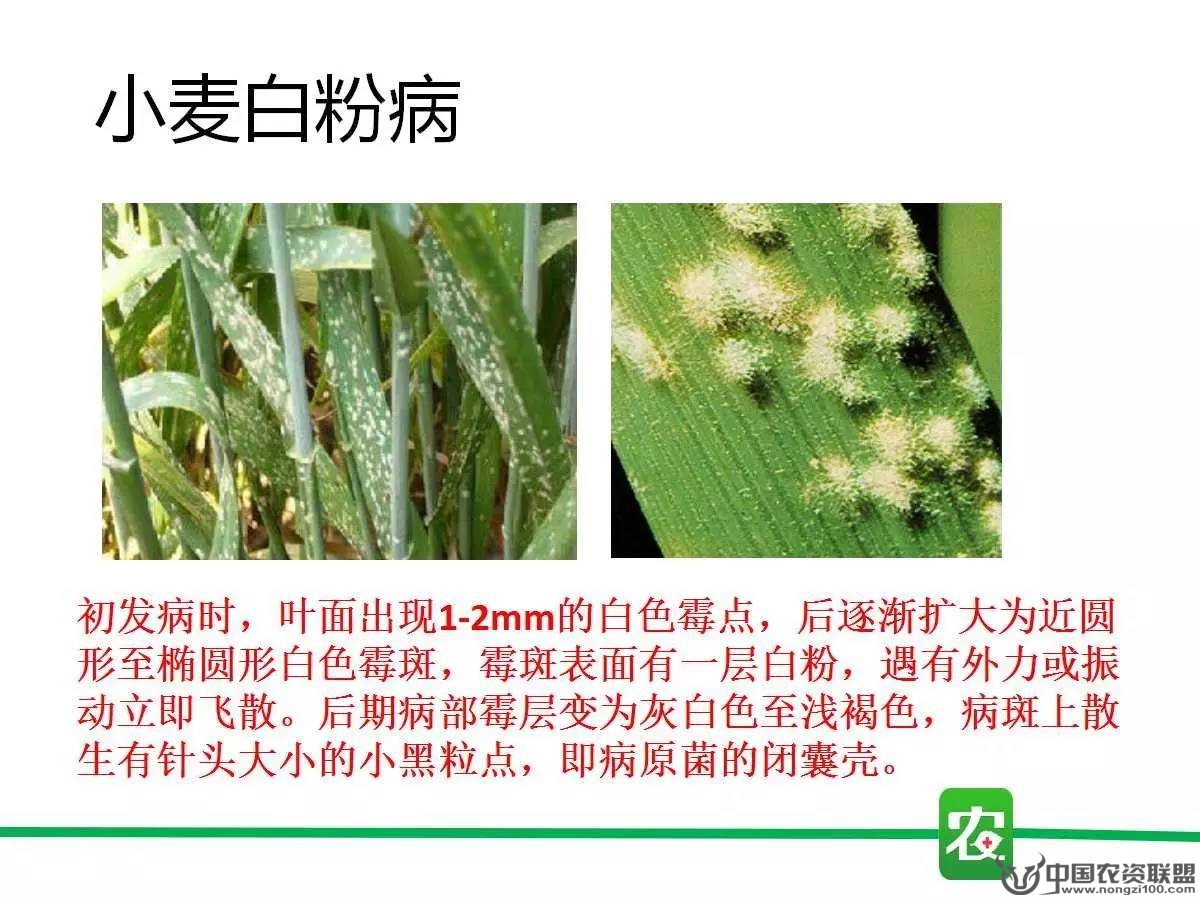 附件