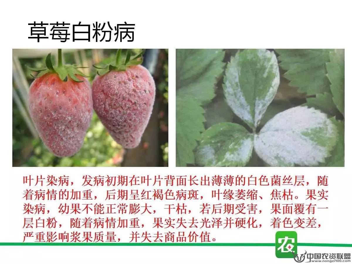 附件