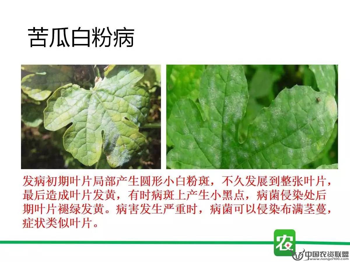 附件