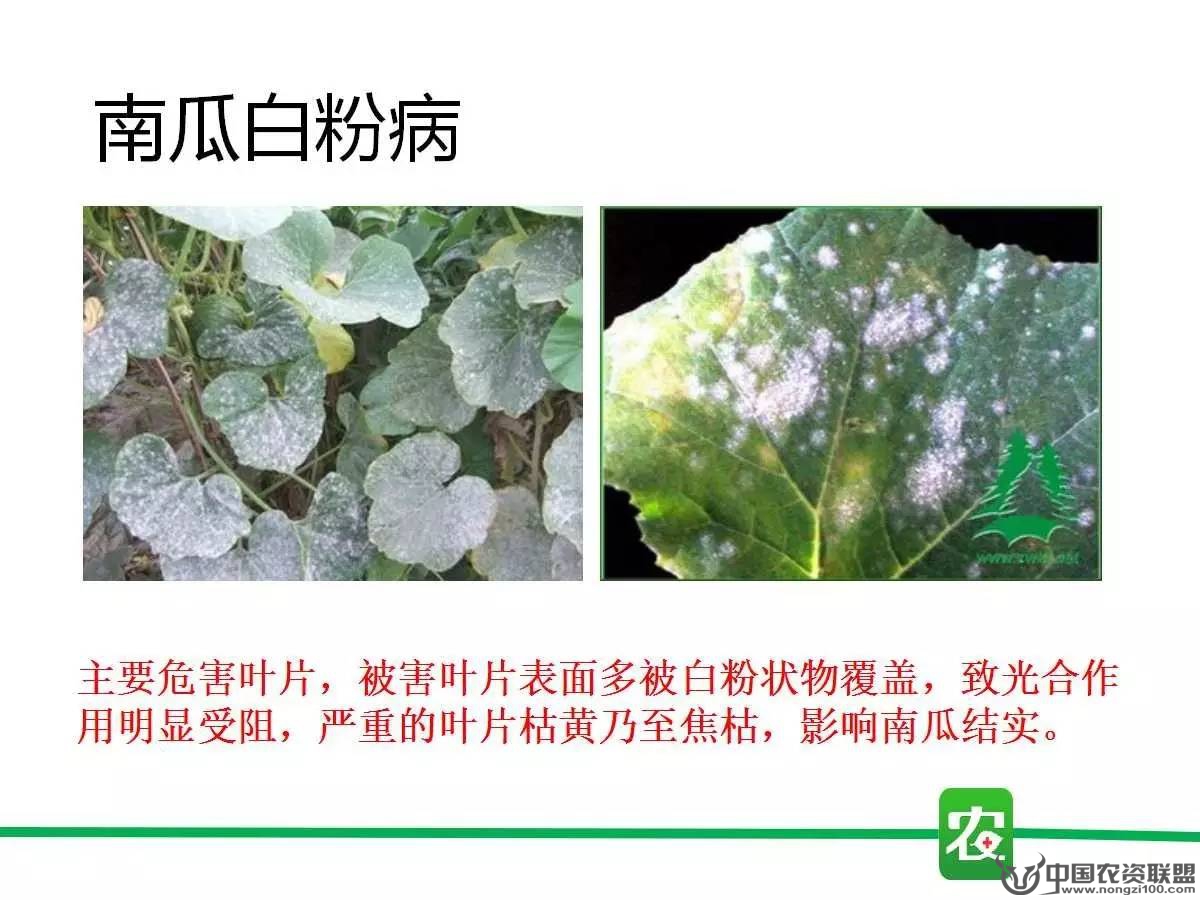 附件
