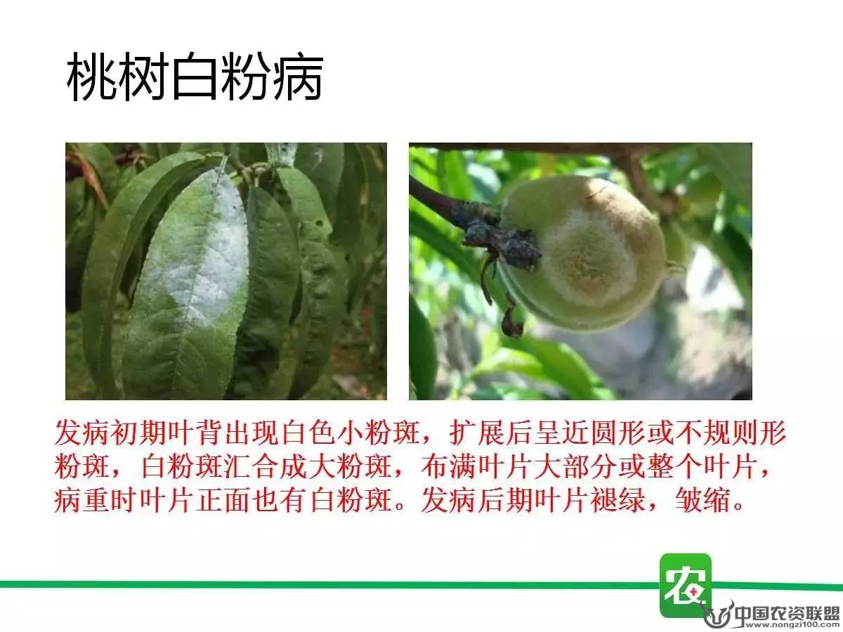 附件