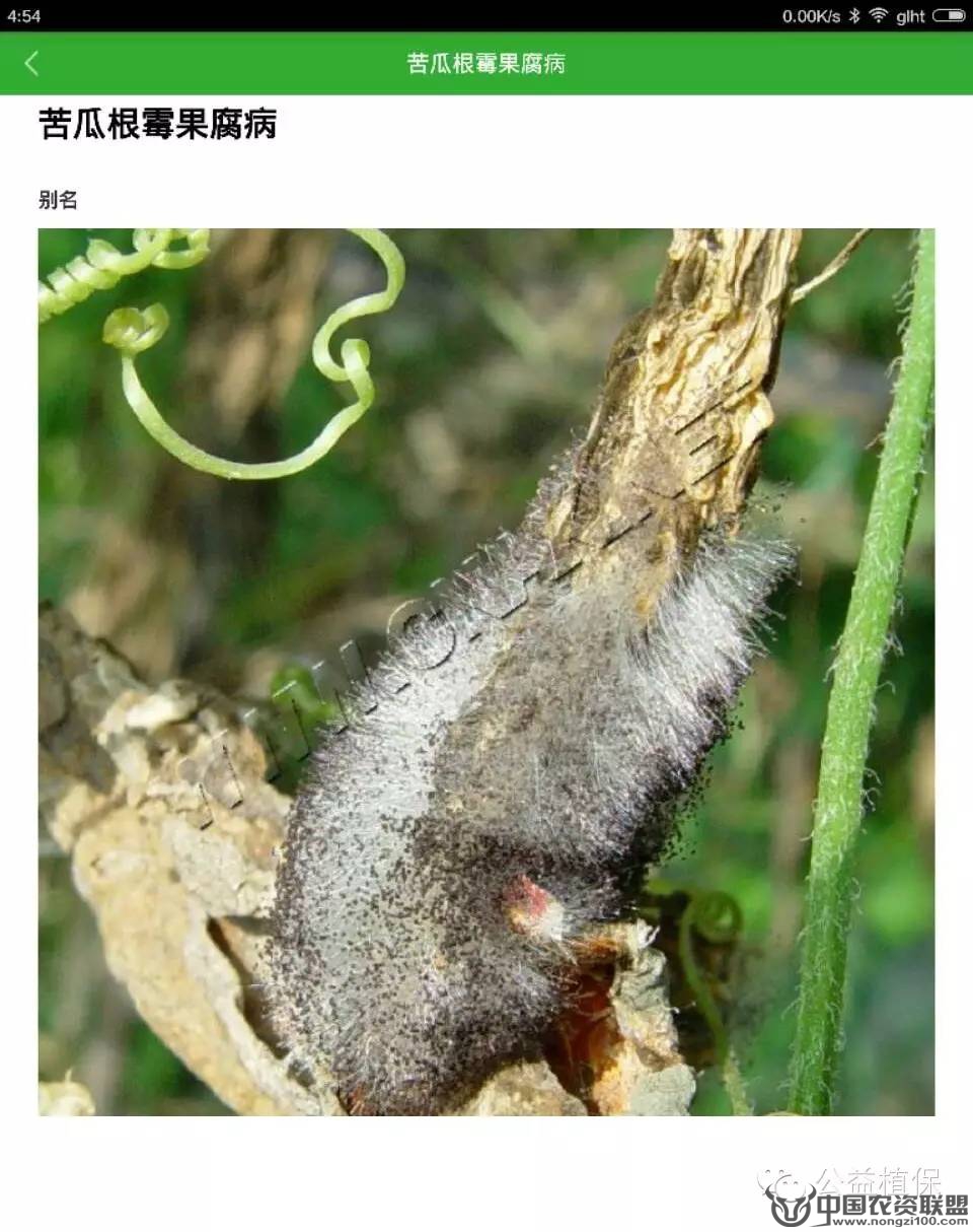 附件