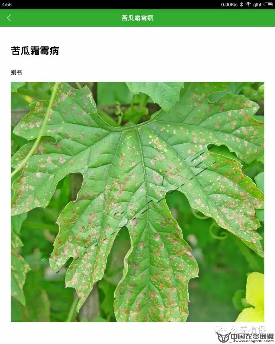 附件