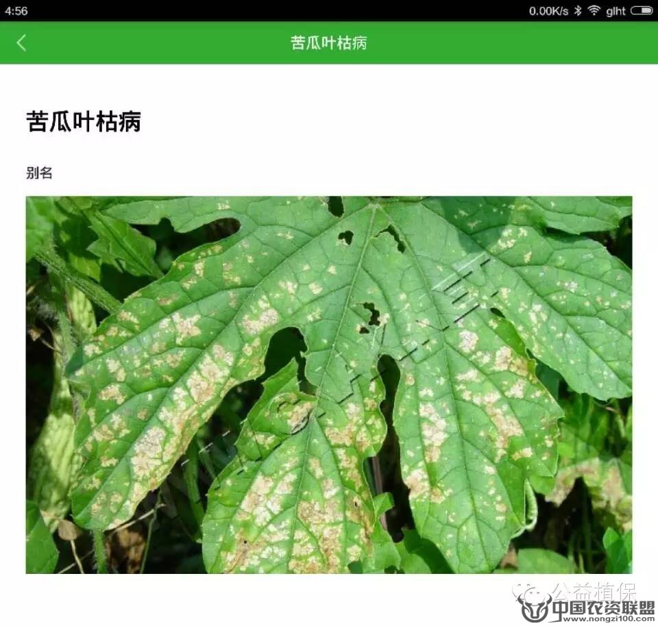 附件