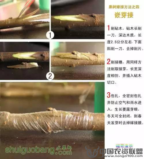 附件