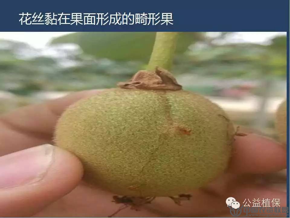 附件