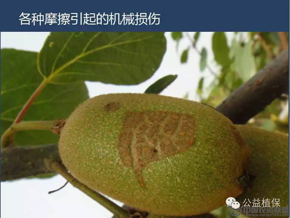 附件