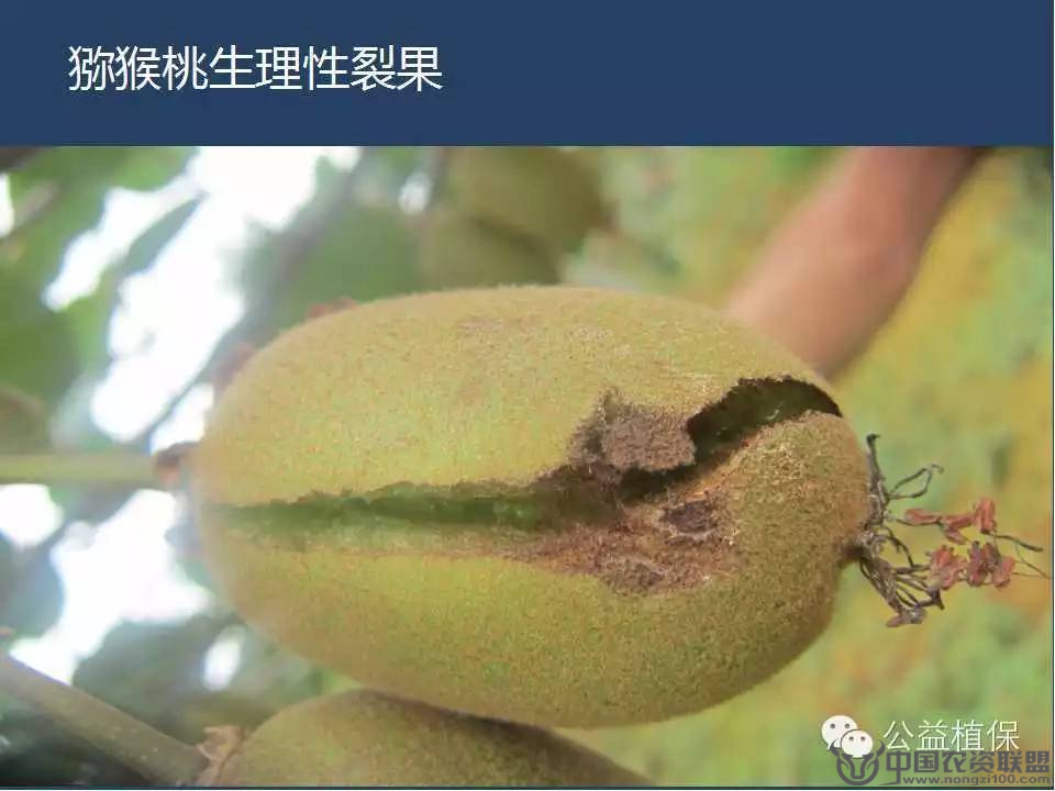附件