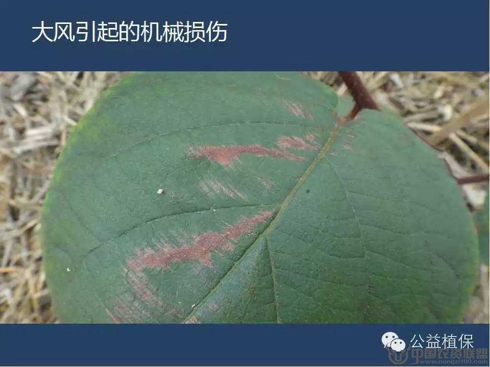 附件