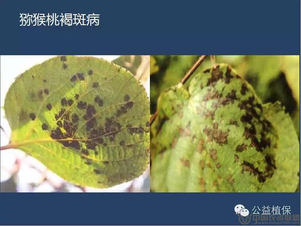 附件