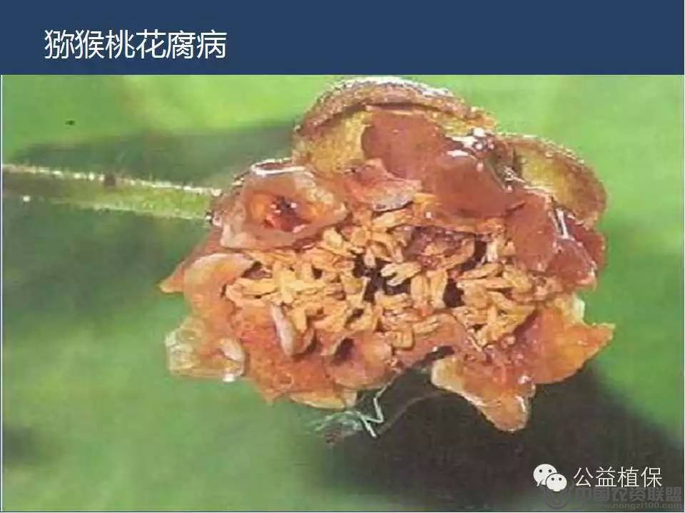 附件