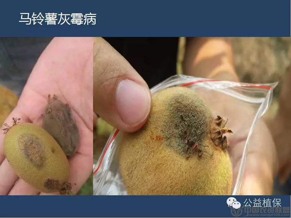 附件